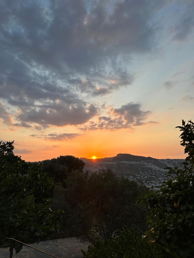 Mandra - Nature Living Bodrum ภายนอก รูปภาพ